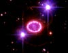 The entire region around Supernova 1987A, one of the <a href="http://hubblesite.org/gallery/album/entire/pr2007010a/npp/all/">brightest exploding stars</a> in more than 400 years.