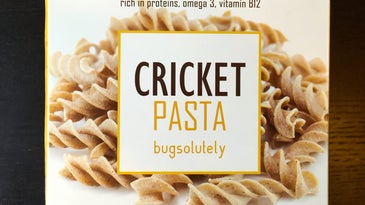 Cricket pasta