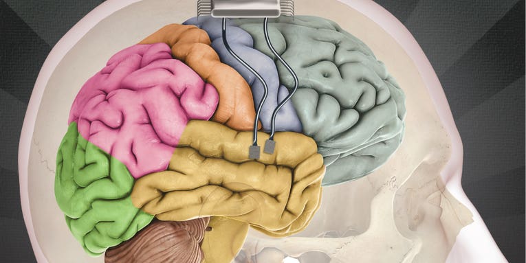 A Harvard Neuroscience Scheme To Change Decisions In Your Brain