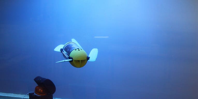 This Adorable Turtle Bot Will Help Underwater Archeologists