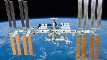 Fungi Survive Mars-Like Conditions On The Space Station