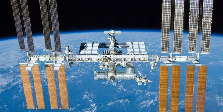 Fungi Survive Mars-Like Conditions On The Space Station