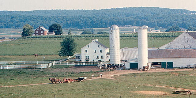 An Amish Environment Protects Against Asthma, New Research Shows