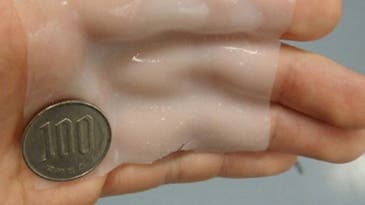 A Sticky Sensor That Attaches To Internal Organs
