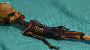 DNA proved this tiny skeleton wasn’t an alien—and opened up an ethical debate about testing human remains