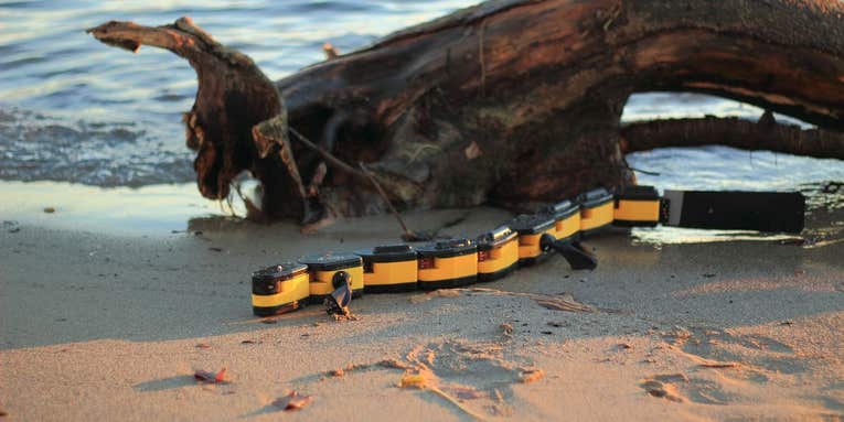 Meet The Robotic Salamander That’ll Walk, Swim, And Crawl Into Your Nightmares