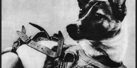 60 years ago today, a Soviet street dog became the first animal to orbit Earth