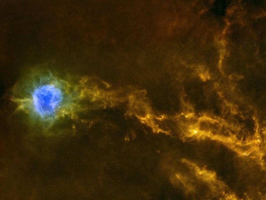 This Herschel image shows dense filaments of gas with stars forming inside. The Cocoon nebula, a star nursery, appears in blue.