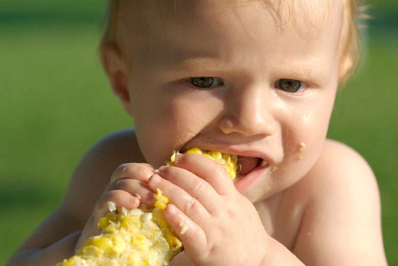 Chew This: What Does Science Tell Us About Teething?
