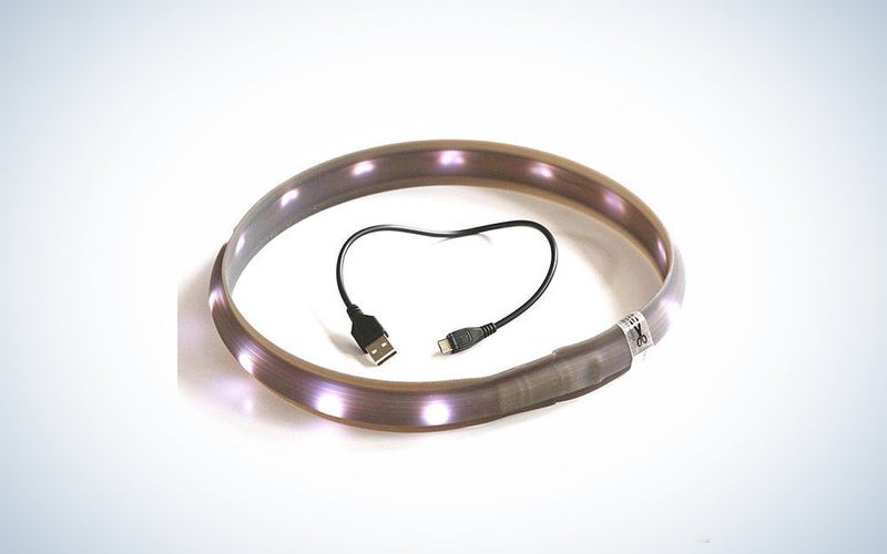 Halo Light Belt LED dog collar