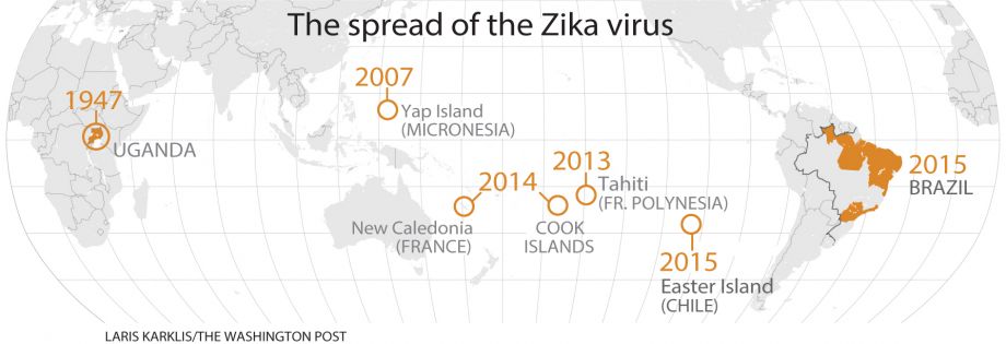 Zika Virus: The Making of an Epidemic