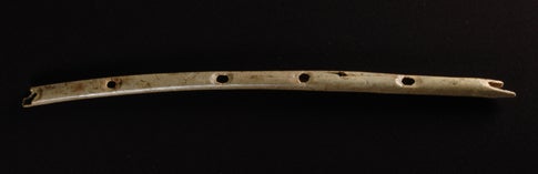 The earliest modern humans in Europe carved this 8.5-inch flute from a vulture bone more than 35,000 years ago.