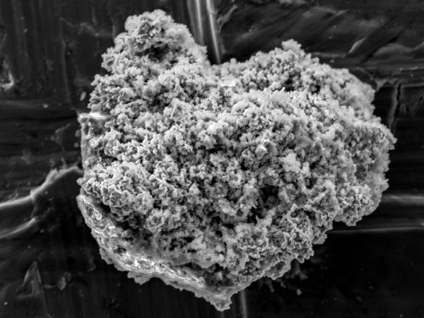For the first time, researchers have found comet dust on Earth. The above specimen, collected in Antarctica, opens up <a href="http://news.sciencemag.org/space/2014/12/comet-dust-found-antarctica">new avenues</a> for research into the stellar bodies.