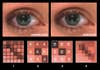 HP's Wobulation technology takes the original image [1] and breaks it down into two separate sub- images [2 and 3]. Your eye adds the two signals for each pixel shown in 2 and 3, yielding a close facsimile [4] to the original.