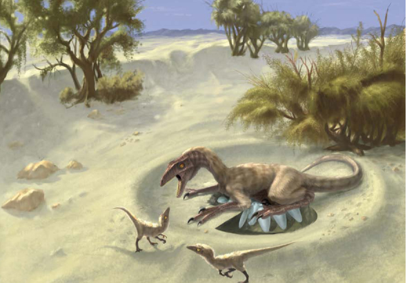 Were Dinosaurs Warm-Blooded? New Light Shed On Mystery