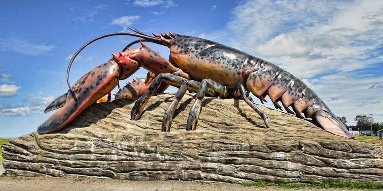 No one knows if lobsters feel pain, which makes boiling them alive rather complicated
