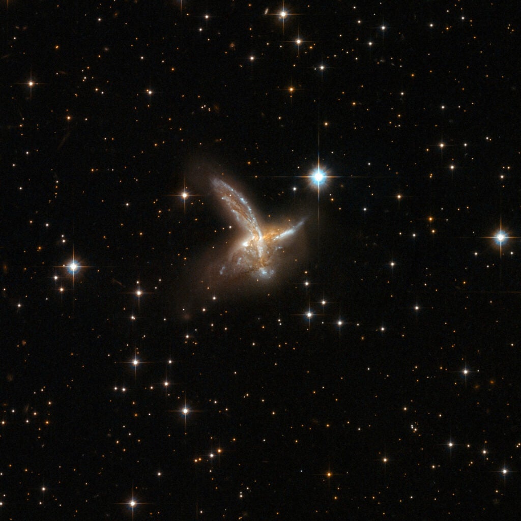 ESO 593-8 is an impressive pair of interacting galaxies with a feather-like galaxy crossing a companion galaxy. The two components will probably merge to form a single galaxy in the future. The pair is adorned with a number of bright blue star clusters. ESO 593-8 is located in the constellation of Sagittarius, the Archer, some 650 million light-years away from Earth.