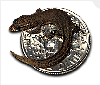Gecko on a coin