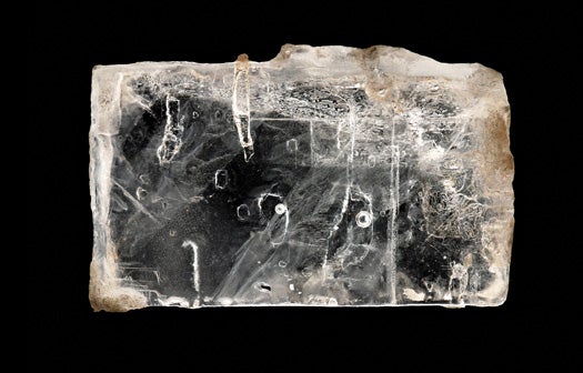 Scientists Revive Ancient Bacteria Trapped In Crystals
