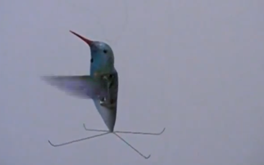 Video: The Evolution of DARPA’s Robotic Hummingbird, From Start to Finish