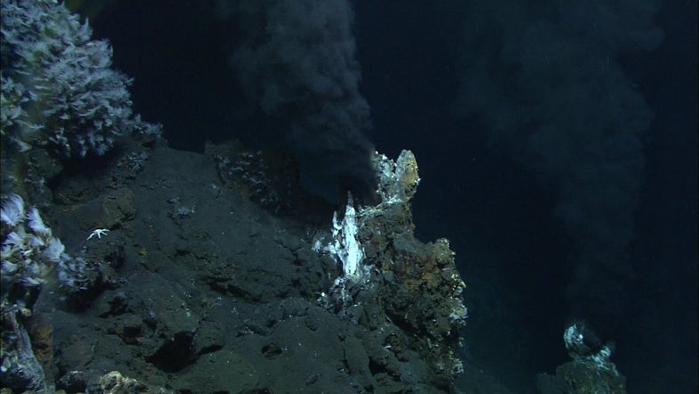 Two black smoker chimneys belch hot vent fluid up into the water column, helping to form the plume that the CTD found above the volcano. Image courtesy of MARUM, University of Bremen and NOAA-Pacific Marine Environmental Laboratory.