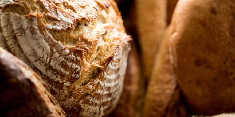 How to make a sourdough starter—and keep it alive
