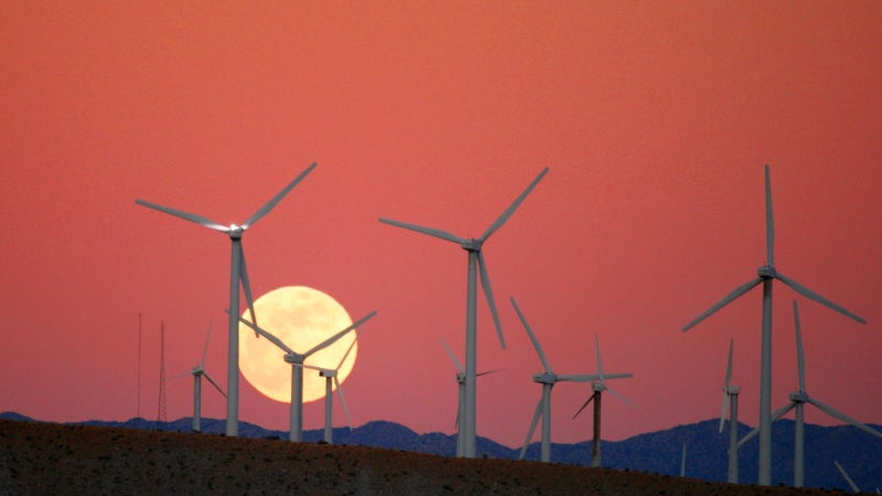Wind Turbines Kill More Than 600,000 Bats A Year. What Should We Do?