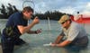Eric Stroud [right] and a colleague apply a chemical repellent based on the smell of rotting sharks to a lemon shark at the Bahamas' Bimini Biological Field Station.