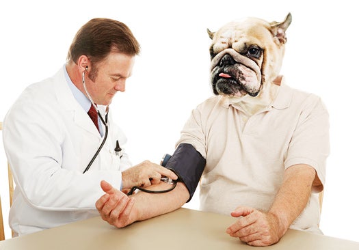 Can Physicians Who Work on Humans Treat Animals Too? | Popular Science