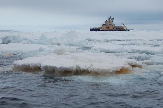 This photo shows the ship on which researchers traveled while collecting plankton samples in Antarctica. Layers of brown ice, like those in this photo, often contain diatoms.
