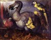 One of the most famous images of a dodo. It was a painting of one owned by George Edwards, a famous ornithologist.