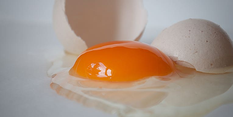 What’s the best way to crack an egg? Physics has the answer.