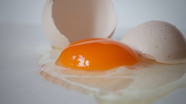 What’s the best way to crack an egg? Physics has the answer.