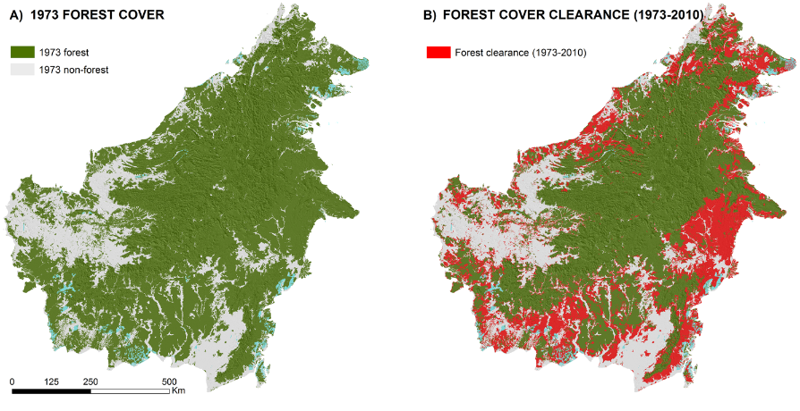 One-Third Of Borneo’s Rainforest Has Been Cut Down