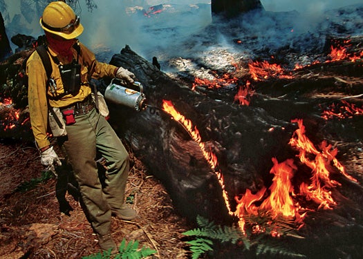 August 1995, Sequoia National Park, California, USA --- Firefighter Using Drip Torch --- Image by © Raymond Gehman/CORBIS PSC0611