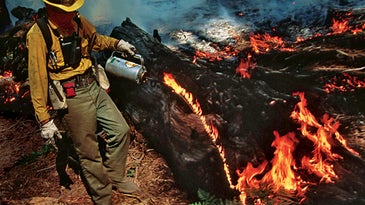 Firefighters' Flame-Throwing Toolkits Keep Wildfires in Check