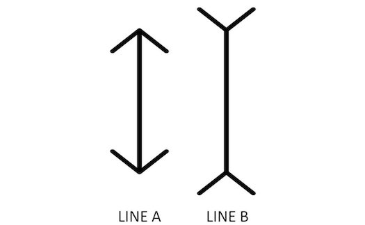Are These Lines The Same Height? Your Answer Depends On Where You’re From