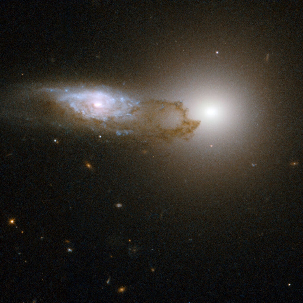 AM 1316-241 is made up of two interacting galaxies - a spiral galaxy (on the left of the frame) in front of an elliptical galaxy (on the right of the frame). The starlight from the background galaxy is partially obscured by the bands and filaments of dust associated with the foreground spiral galaxy. The Hubble image unravels the fine detail in the patchy clumps of dust confined to the spiral arms of the spiral galaxy. This dust reddens the light from the background just as the intervening dust in the Earth's atmosphere reddens sunsets here. AM1316-241 is located some 400 million light-years away toward the constellation of Hydra, the Water Snake.