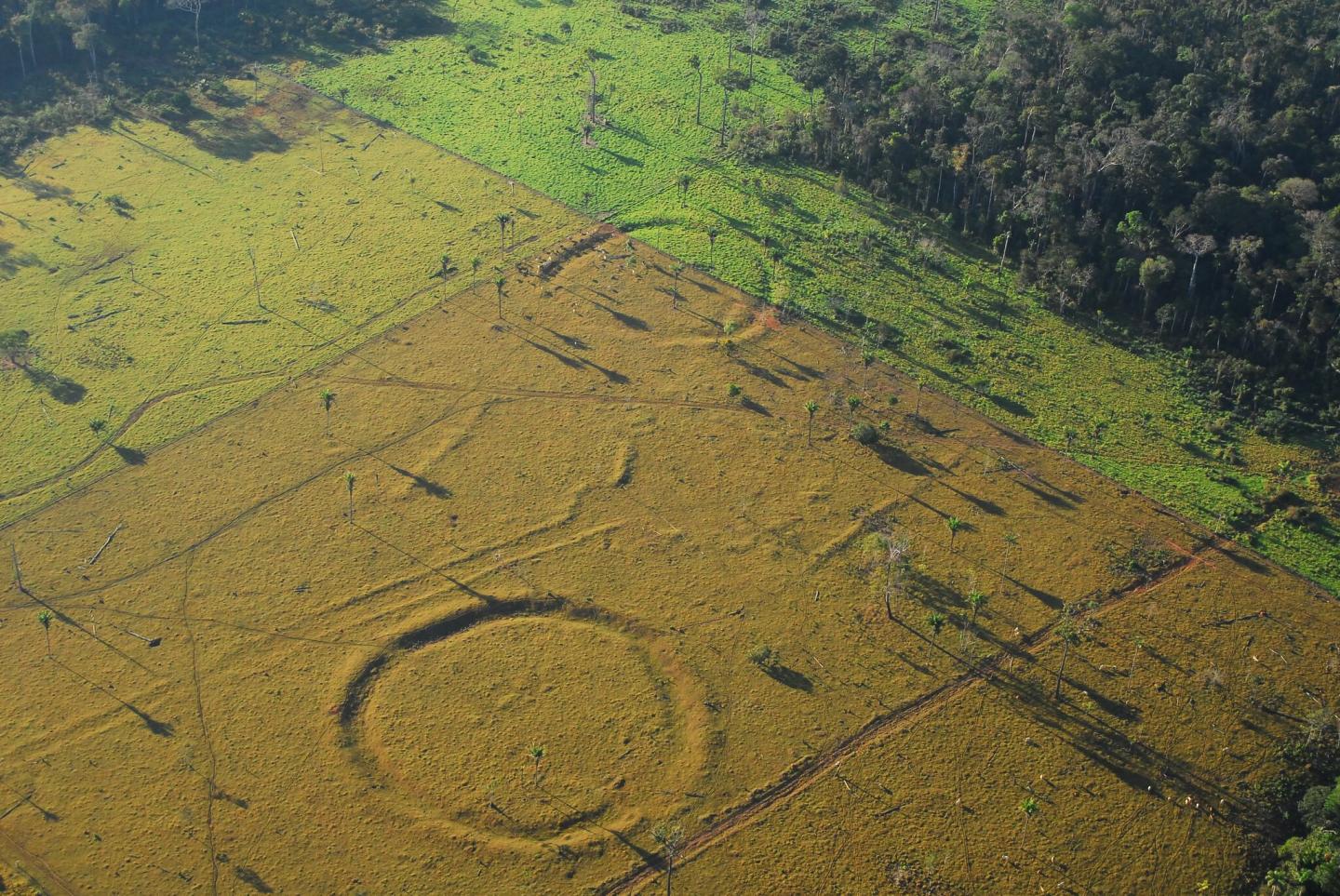 Mysterious geoglyphs can teach us about the Amazon’s past—and its worrisome future