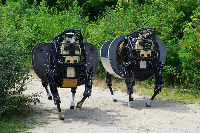 A Pair Of Robots On A Stroll