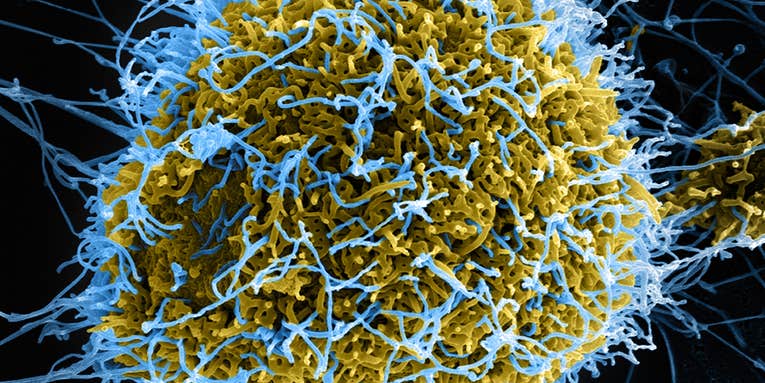 ZMapp: The Experimental Ebola Treatment Explained