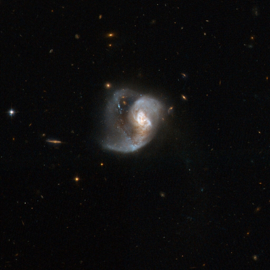 VV 283 looks like a single peculiar galaxy, but is in fact a pair of merging galaxies. A tidal tail swirls out from a messy central region and splits into two branches. The upward twisting branch is brightened by luminous blue star knots. Like many merging systems, VV 283 is a very luminous infrared system, radiating nearly one thousand billion times energy more than our Sun. VV 283 is located in the constellation of Virgo, the Maiden, some 500 million light-years away.