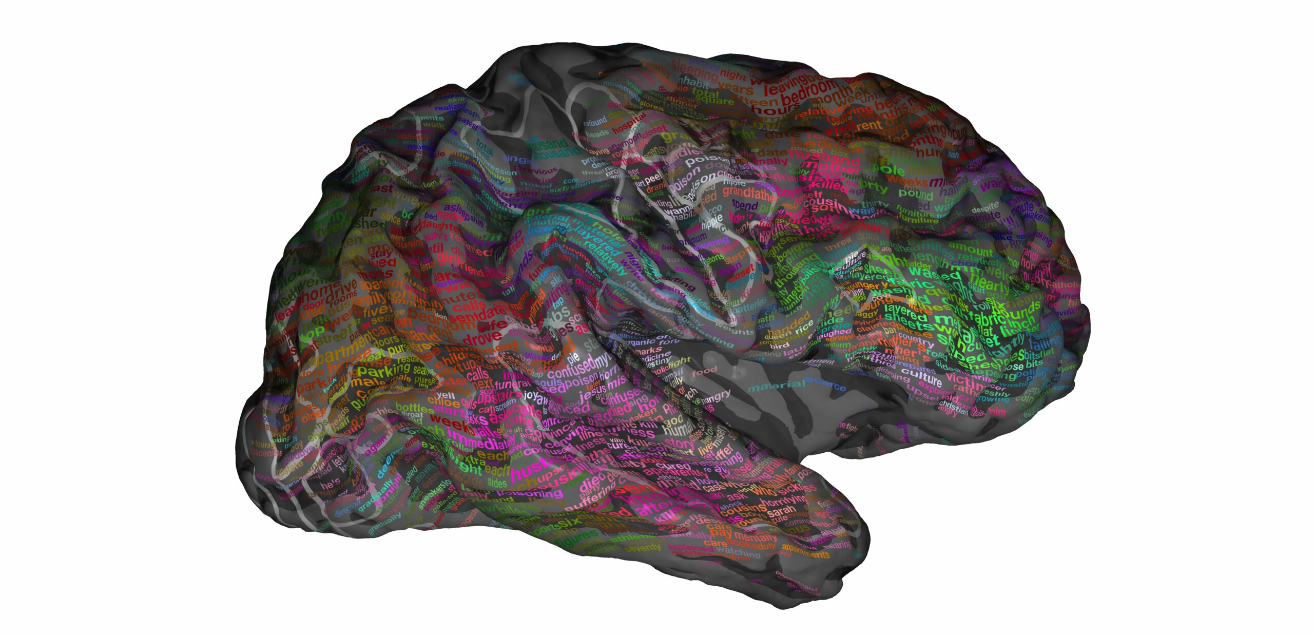 A 3D Map Of The Brain Shows How We Understand Language