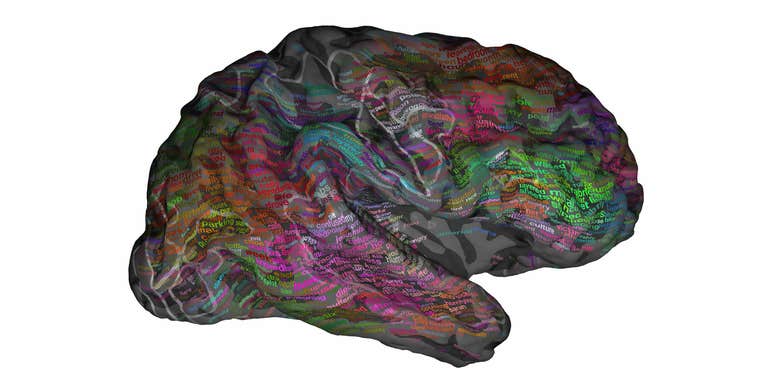 A 3D Map Of The Brain Shows How We Understand Language