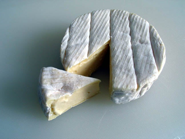 New Artificial Cheese Rind Can Turn Organic Material Into Safe Sealant