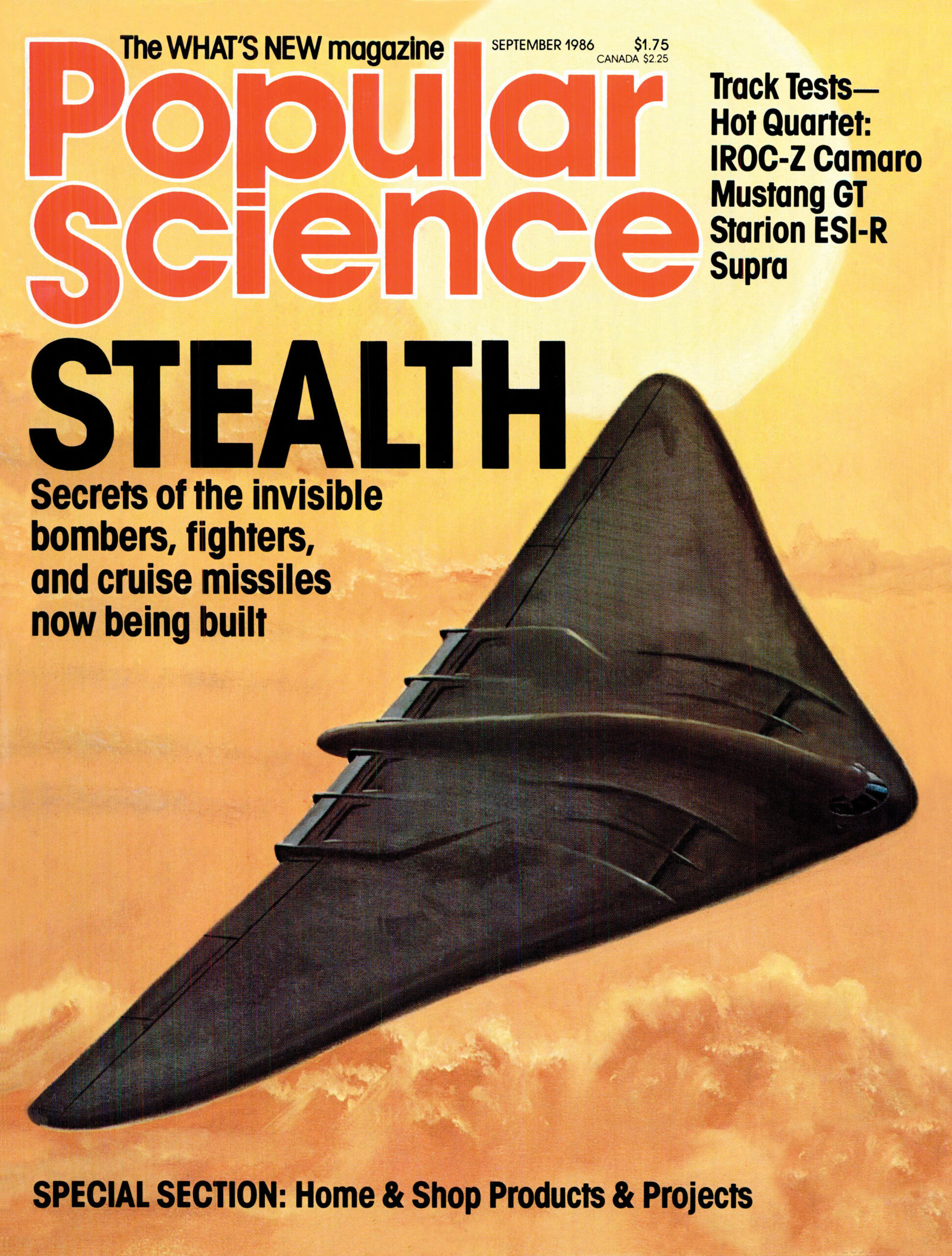 From The Archives: Stealth Flight Comes Into View