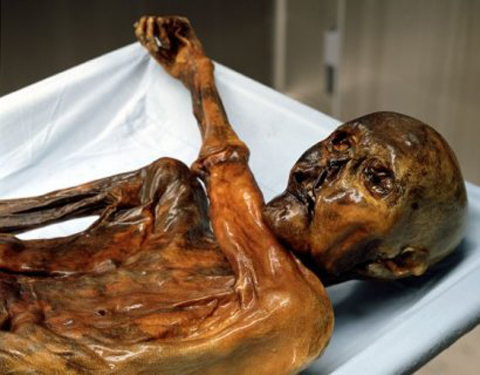 Looking Inside a Mummy’s Stomach