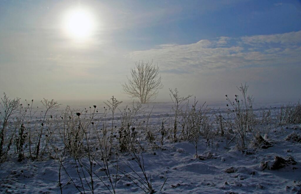 A snowy field with the sun low in the sky