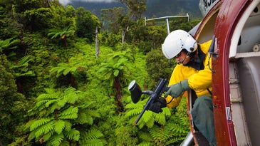 Trae Menard leans out of a helicopter with a paintball gun over a patch of healthy Australian tree ferns