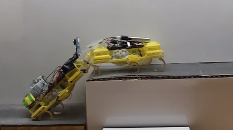 Robot Roaches Work Together To Climb A Step